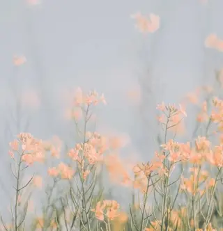 silo所属・silo MOKA 顔周りカット🦦のヘアスタイル