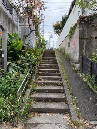 愛紗🎀下北沢 eyelist⋆✦のマツエク・マツパデザイン