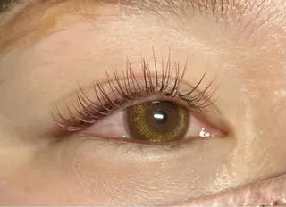 マツエク・マツパ Favori 山下のマツエク・マツパデザイン