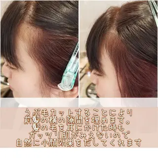 ショート とみー 艶カラー/  大人女性のお悩み相談のヘアスタイル