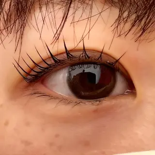 マツエク・マツパ Celeste Venus所属・🧸Celeste Venusのマツエク・マツパデザイン