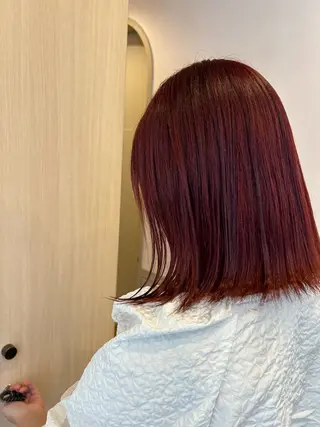 カラー ａｉｋａ🐩 /艶カラー/レイヤーのヘアスタイル