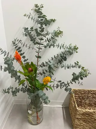 ネイル 透灯 TOUTOU所属・透灯 TOUTOU 🪄のネイルデザイン