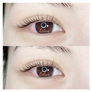 マツエク・マツパ Lotus所属・Lotus ロータスのマツエク・マツパデザイン