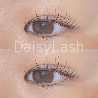 マツエク・マツパ DaisyLash 京橋店のマツエク・マツパデザイン