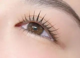 マツエク・マツパ アレグレス所属・アレグレス@池袋 🌹大人気店🌹のマツエク・マツパデザイン