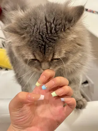 ネイル ミ レイのネイルデザイン