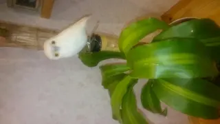 メナード水戸見川店 MENARD所属・黒坂 リカのその他イメージ