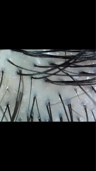 縮毛矯正専門 美容師のヘアスタイル