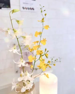 マツエク・マツパ 木場 ＊のマツエク・マツパデザイン