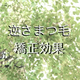 マツエク・マツパ CORE Total Beauty所属・CORE TBのマツエク・マツパデザイン