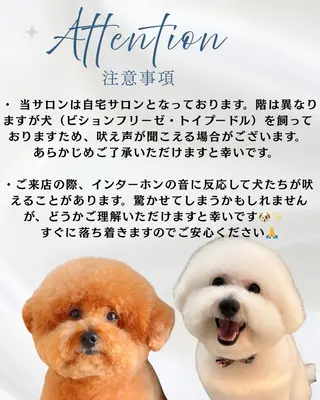 Kawaii nail studio所属・Kawaiinail studioのネイルデザイン