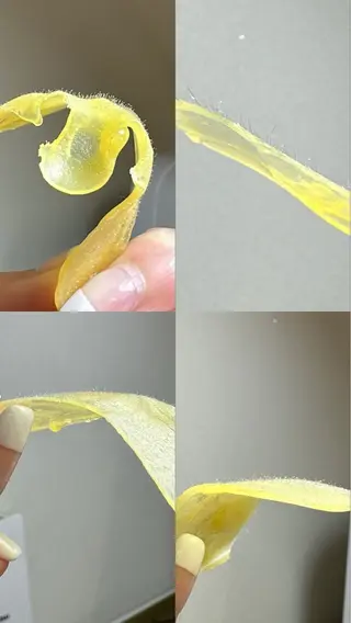 Lei beauty salon所属・松ヤニワックス専門/ 梅田/Leiのエステ・リラクイメージ