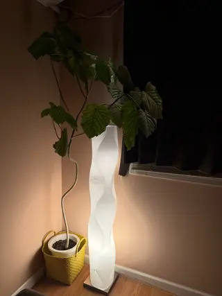 大西 知世のエステ・リラクイメージ