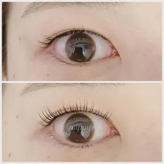 マツエク・マツパ ｍｉｐｐｙ 🪽のマツエク・マツパデザイン