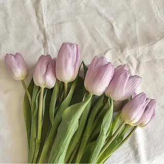 mochi.所属・mochi. nail🌿のネイルデザイン