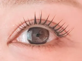 ãããšã¯ã»ããã ðððð ã¢ã€ãªã¹ã â€ïžã®ãããšã¯ã»ããããã¶ã€ã³