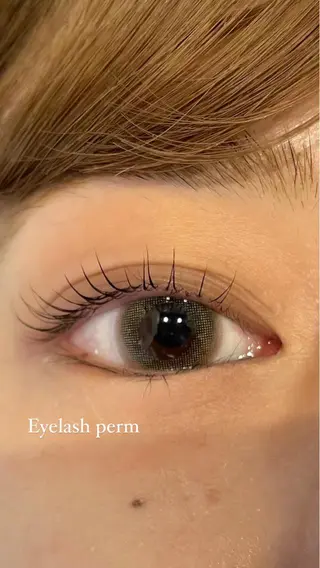 マツエク・マツパ SATO .の眉毛・アイブロウイメージ