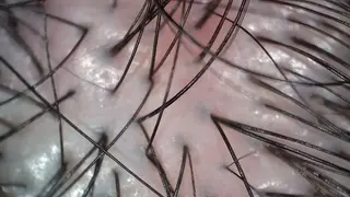 五十嵐 蓮のその他イメージ