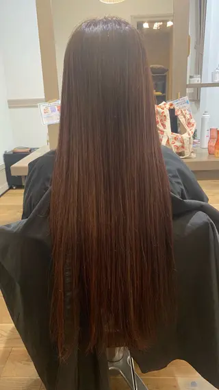 カラー 中井 葵のヘアスタイル