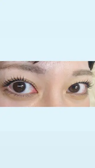 マツエク・マツパ 🕊ツメイク船橋店 Momoka🌿のマツエク・マツパデザイン