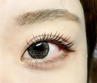 マツエク・マツパ bonita所属・山本 マツゲのマツエク・マツパデザイン