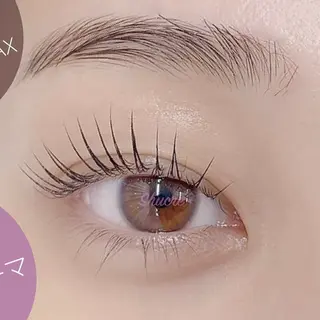 マツエク・マツパ eyelash / 伊藤のマツエク・マツパデザイン