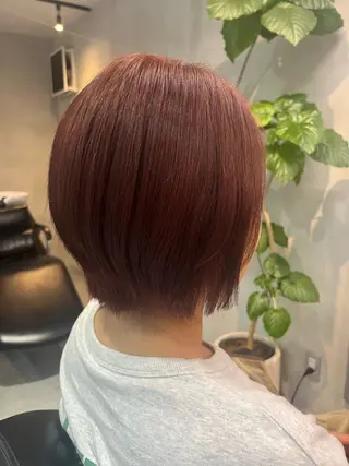 ショート カラー -LOLAM-所属・井上 真佑のヘアスタイル