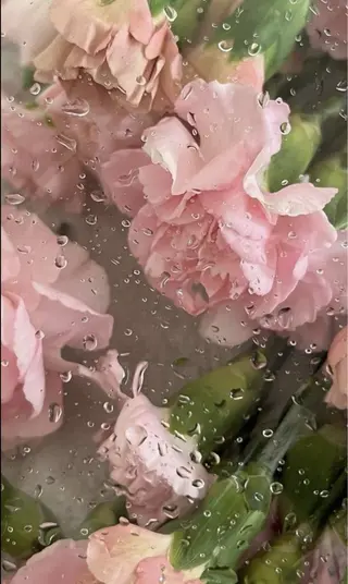 🦋 Natsumiのマツエク・マツパデザイン