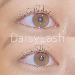 マツエク・マツパ DaisyLash 京橋店のマツエク・マツパデザイン