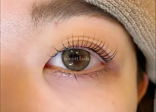 マツエク・マツパ デイジーラッシュ 天王寺　南の眉毛・アイブロウイメージ