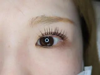 パーマ STEEL所属・【STEEL】🦄 MASHIMA🦄のマツエク・マツパデザイン