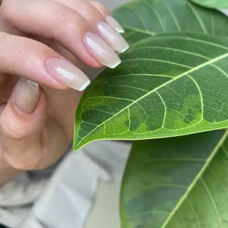 ネイル ViLL 新小岩のネイルデザイン