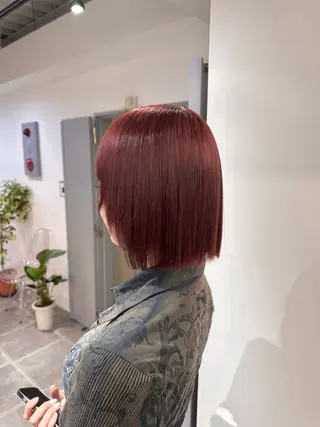 ミディアム カラー ハイトーン/ 縮毛矯正のヘアスタイル