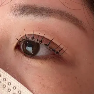 マツエク・マツパ Celeste Venus所属・🧸Celeste Venusのマツエク・マツパデザイン