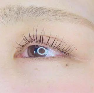 マツエク・マツパ Celeste Venus所属・🧸Celeste Venusのマツエク・マツパデザイン