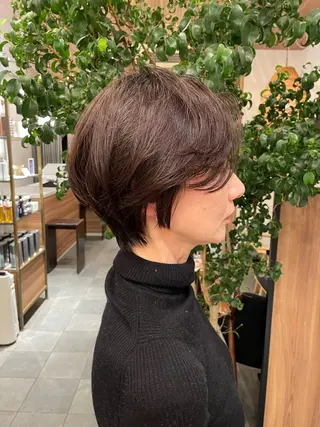ショート ボブ ホノカのヘアスタイル