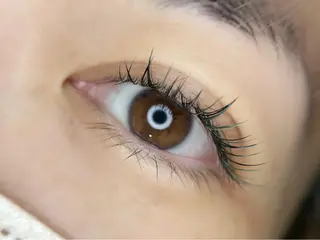 マツエク・マツパ irie hair &　eyelash所属・irie(ｱｲﾘｰ) hair&eyeのマツエク・マツパデザイン