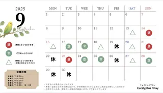 今野 弥沙子のエステ・リラクイメージ