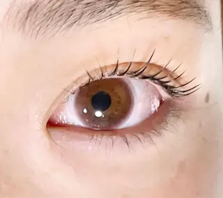 マツエク・マツパ TAKEO🖤 マリーテレジア藤が丘のマツエク・マツパデザイン