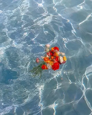 ショート カラー パーマ ヘアアレンジ メンズ キッズ ネイル マツエク・マツパ アイブロウ Chloe-クロエ- 脱毛/フェイシャルのエステ・リラクイメージ