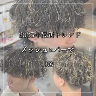 カラー パーマ ヘアアレンジ メンズ 【札幌メンズ特化】 つばさ🔥のヘアスタイル