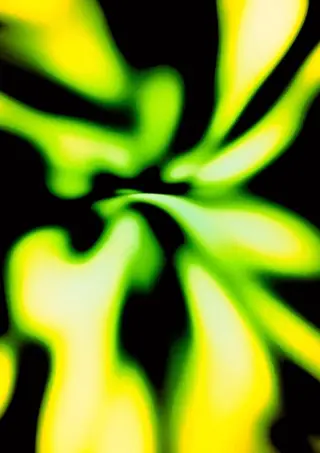 ダブルカラー/派手髪 アンジのヘアスタイル