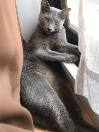 ショート カラー パーマ ヘアアレンジ メンズ キッズ ネイル マツエク・マツパ アニメ,Vオタク× 即効痩せエステサロンのエステ・リラクイメージ