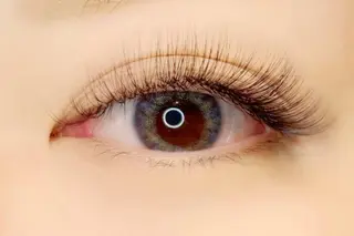 マツエク・マツパ 齋藤 春菜のマツエク・マツパデザイン