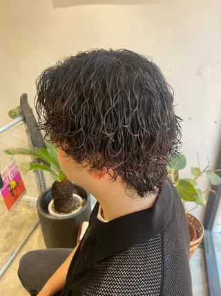 パーマ メンズ 🌴パーマオタク🌴 長谷川 諒佑🌈のヘアスタイル