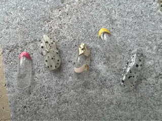 ネイル tree houseのネイルデザイン