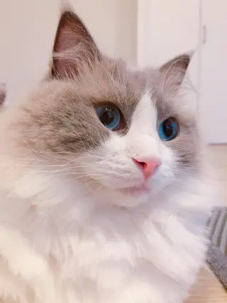 USAMiMi 🐰💕のネイルデザイン