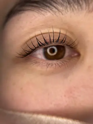 マツエク・マツパ Eyeherbskin所属・札幌東区・デザイン まつげパーマのマツエク・マツパデザイン