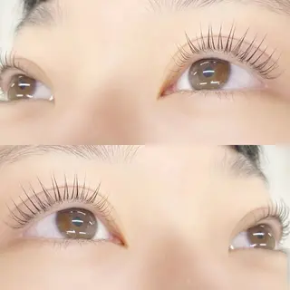 マツエク・マツパ 🌼Alba🌼 犬馬塲のマツエク・マツパデザイン